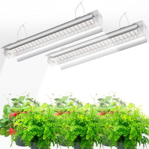 Top 10 Best Led Grow Lights Europe Reviews & Buying Guide Katynel