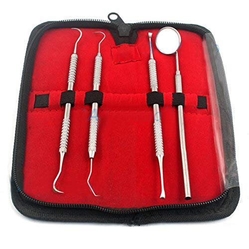 AA PRO Kit de herramientas dentales | Instrumentos y equipos dentales de acero inoxidable perfectos para la higiene y cuidado dental en casa, el
