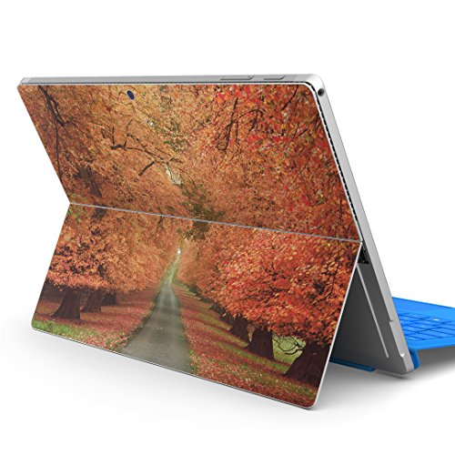 igsticker Surface pro7 (2019) pro6 pro2017 pro4 p XLV[ T[tFX m[gubN m[gp\R Jo[ P[X tB XebJ[ ANZT[ ی 005919 ʐ^Ei ʐ^ H 