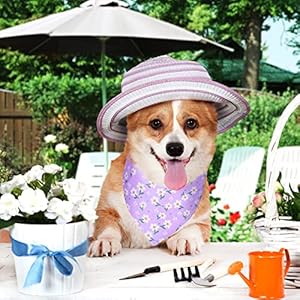 Eccliy-30-Pack-Summer-Flower-Dog-Bandanas-Bulk-for-Dogs-Soft-Triangle-Dog-Scarfs-Polyester-Bandana-Pet-Costume-Cute-Scarf-Bibs-with-Flowers-Patterns-for-Small-Medium-Large-DogsFlowerMedium - Cucciolini Doodles   Eccliy-30-Pack-Summer-Flower-Dog-Bandanas-Bulk-for-Dogs-Soft-Triangle-Dog-Scarfs-Polyester-Bandana-Pet-Costume-Cute-Scarf-Bibs-with-Flowers-Patterns-for-Small-Medium-Large-DogsFlowerMedium