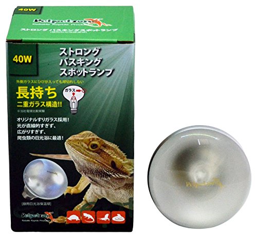 ゼンスイ ストロングシリーズ バスキングランプ 40W|爬虫類・両生類用スポットライト|高耐久二重ガラス構造