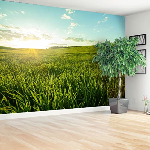 Papier Peint Moderne Tulup pour Rénover et Protéger vos Murs Camouflage Prairie Verte - 3
