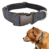 Pawsitive Wool Dog Collar - Hypoallergenic Dog Collar, Great Dog Collar for Sensitive Skin, Soft Collar for Dogs, Soft Organic Dog Collar Eco-Friendly (Medium, Blue)
