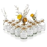 Glass Bud Vases for Centerpieces, 16Pcs Glassseam Modern Clear Mini Small Vases for Flowers, Farmhouse Decorative Tiny Flower Vase, Apothecary Bottles for Flowers Wedding Home Living Room Decor