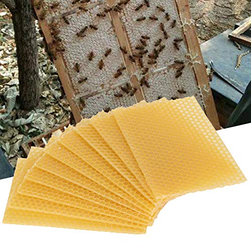 Feuilles de cire d'abeille pour ruches : lot de 10 cadres de cire gaufrée - 5