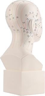 Lettering Acupuncture Model, Acupuncture Learning Tool Head Acupuncture Model for Teaching