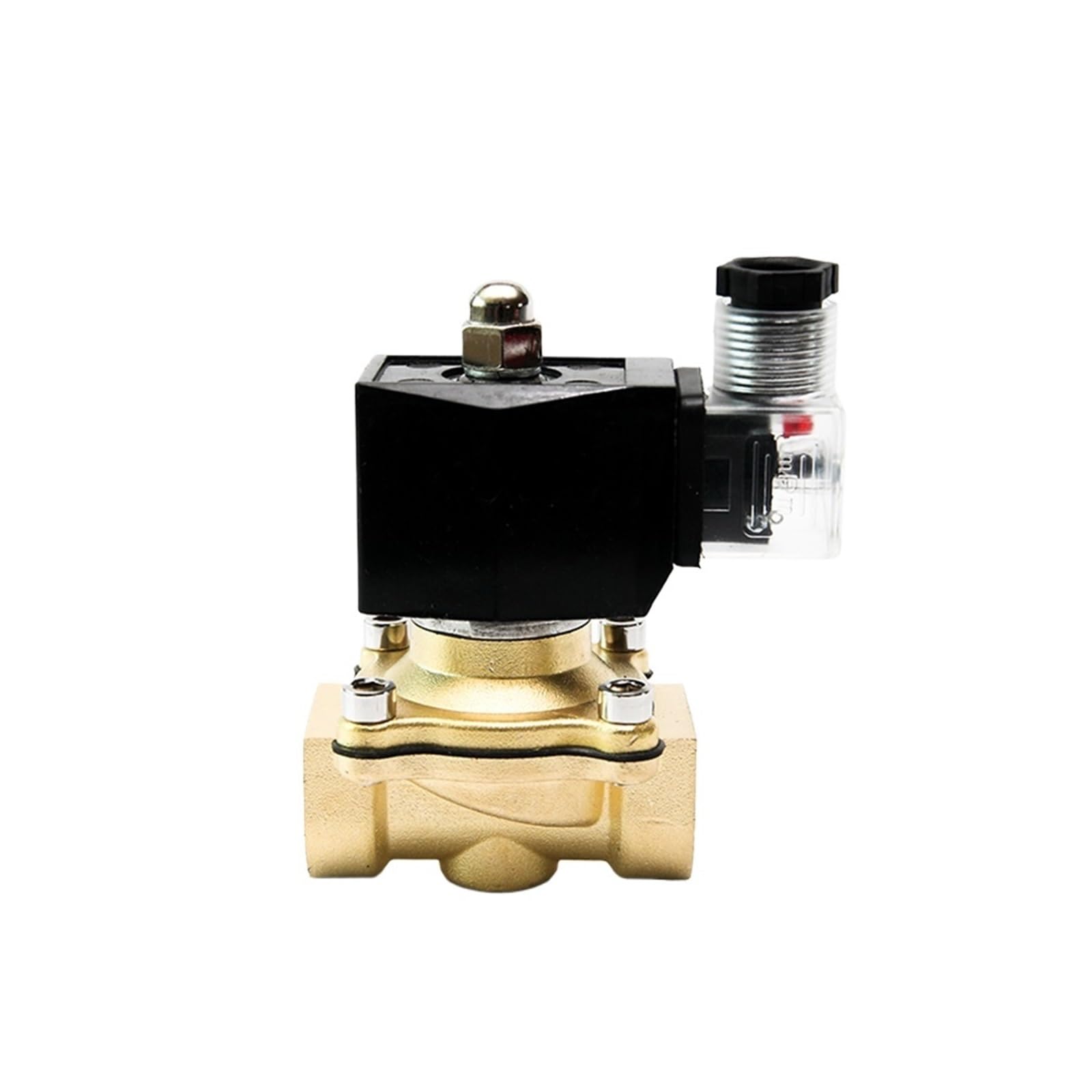 Électrovanne DN10 laiton 220V pour automatiser l'arrosage du jardin