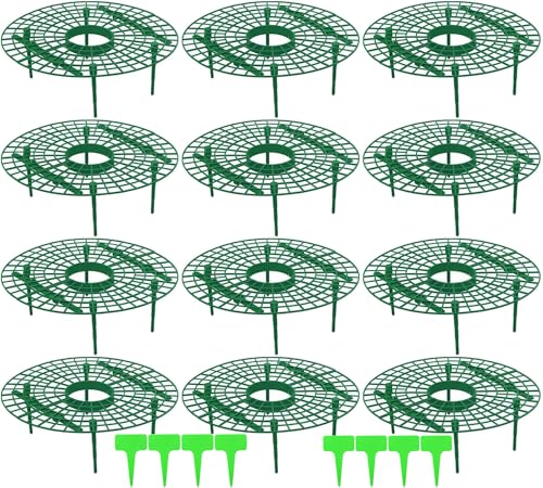 AMZMUKAUP Soporte para fresas (12 unidades, soporte para fresas, plantas de fresas, plantas de fresas, tomates, plantas, verduras, flores, caracoles, protección contra la putrefacción del moho