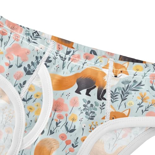 Cute Fox Boys' Briefs Cotton Soft Underwear 208523274