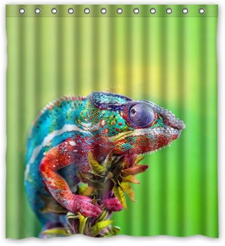 66"(Width)x 72"(Height) Brand New Colorful Chameleon Reptile 100% Polyester,Shower Curtain