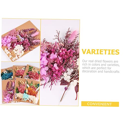 Kit Holibanna Flores Secas DIY 1 Bolsa para Decoración miniatura 3