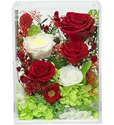 Valley of Rain &amp; Forest Long-Lasting Real Flowers, Handcrafted Preserved Rose Bush For you to Sen...