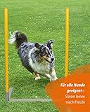 SPORTIKEL24 2by2 Weave Poles – Blau – 2er Set Agility-Slalomstangen mit Metallbasis – für Training & Parcoursaufbau – erweiterbar & mobil