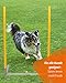 SPORTIKEL24 2by2 Weave Poles – Blau – 2er Set Agility-Slalomstangen mit Metallbasis – für Training & Parcoursaufbau – erweiterbar & mobil