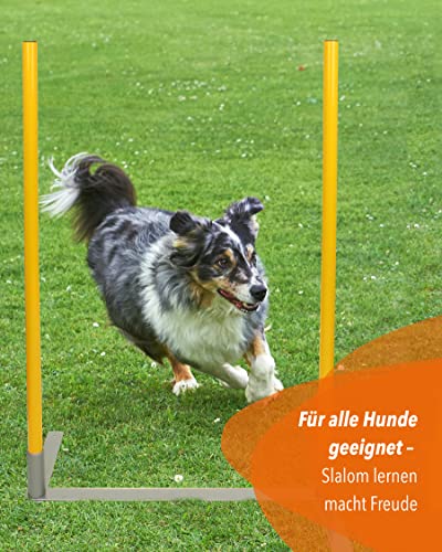 SPORTIKEL24 2by2 Weave Poles – Blau – 2er Set Agility-Slalomstangen mit Metallbasis – für Training & Parcoursaufbau – erweiterbar & mobil