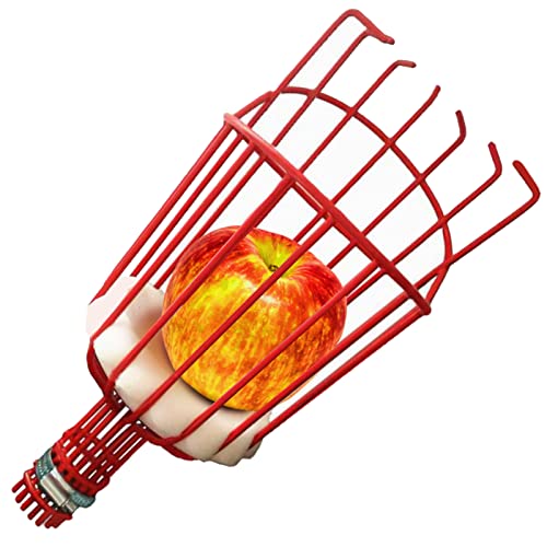 Recoge Frutas Telescopico, Recogedor de Frutas Metalico, Recoge Frutas de árboles, Bolsa de Recogida de Frutas, Herramientas Jardin con Telescopico 1.6 / 2.4 / 3.6m Cerezas Manzanas Limón (Ø 145mm)