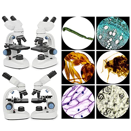 Microscópios binoculares compostos de LED 40X-1000X Lab Microscópio eletrônico biológico profissiona