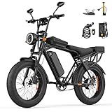 Eleglide E Bike Herren mit 48V 15Ah Batterie, 20 * 4.0 Zoll, Elektrofahrrad mit LCD-Display, All-Terrain E-Bike mit 250W Motor & 25km/h, 3 Fahrmodi,3 Geschwindigkeitsmodi, Reichweite bis zu 80+km