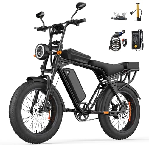 Eleglide E Bike Herren mit 48V 15Ah Batterie, 20 * 4.0 Zoll, Elektrofahrrad mit LCD-Display, All-Terrain E-Bike mit 250W Motor & 25km/h, 3 Fahrmodi,3 Geschwindigkeitsmodi, Reichweite bis zu 80+km