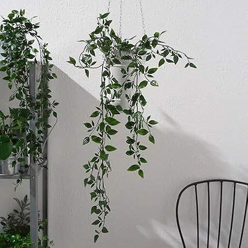 Image of Chitra Artificial Fern Plant with Pot Set of 6 Realistic Faux Greenery Indoor Decorative Plants for Home Living Room Office Tabletop Counter Decor Small Plastic Potted Plants for Shelf Desk Decoration
