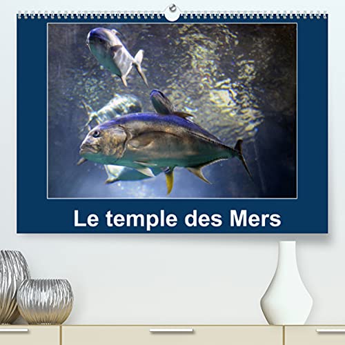 Le temple des Mers (Premium, hochwertiger DIN A2 Wandkalender 2022, Kunstdruck in Hochglanz): Situé sur le rocher de Monaco, le Musée océanographique ... chaque année. (Calendrier mensuel, 14 Pages )