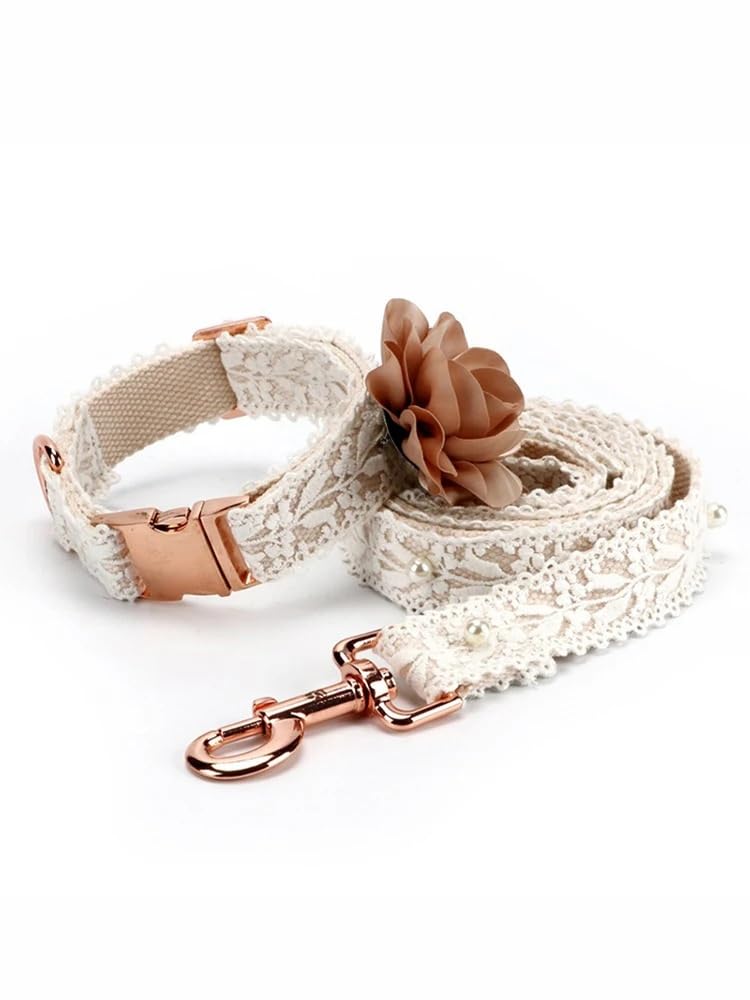 Collier en Dentelle for Chien, Collier et Laisse réglables avec Motif Floral Tendance, for Chiens de Petite, Moyenne et Grande Taille, Pendentif d'identification Gratuit(M)