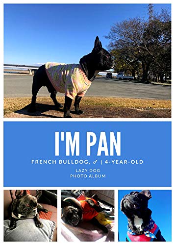 I Am Pan Lazy Dog Japanese Edition Kindle Edition By Pan Crafts Hobbies Home Kindle Ebooks Amazon Com