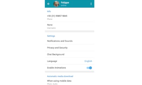 Pombus Telegram Não-Oficial