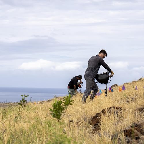 Ep. 569 - How to Grow a Forest Pt. 1