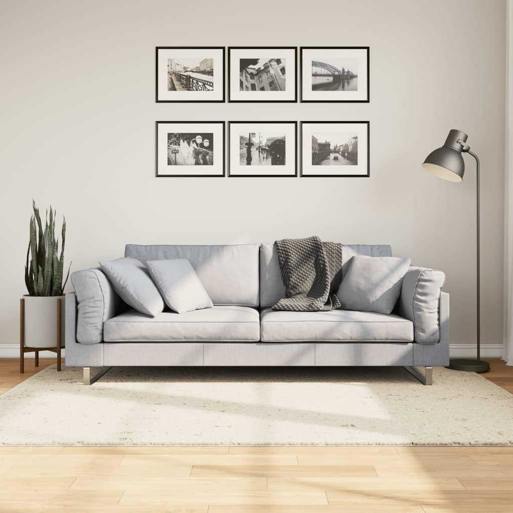 Tapis shaggy poils longs pour un salon confortable et chaleureux