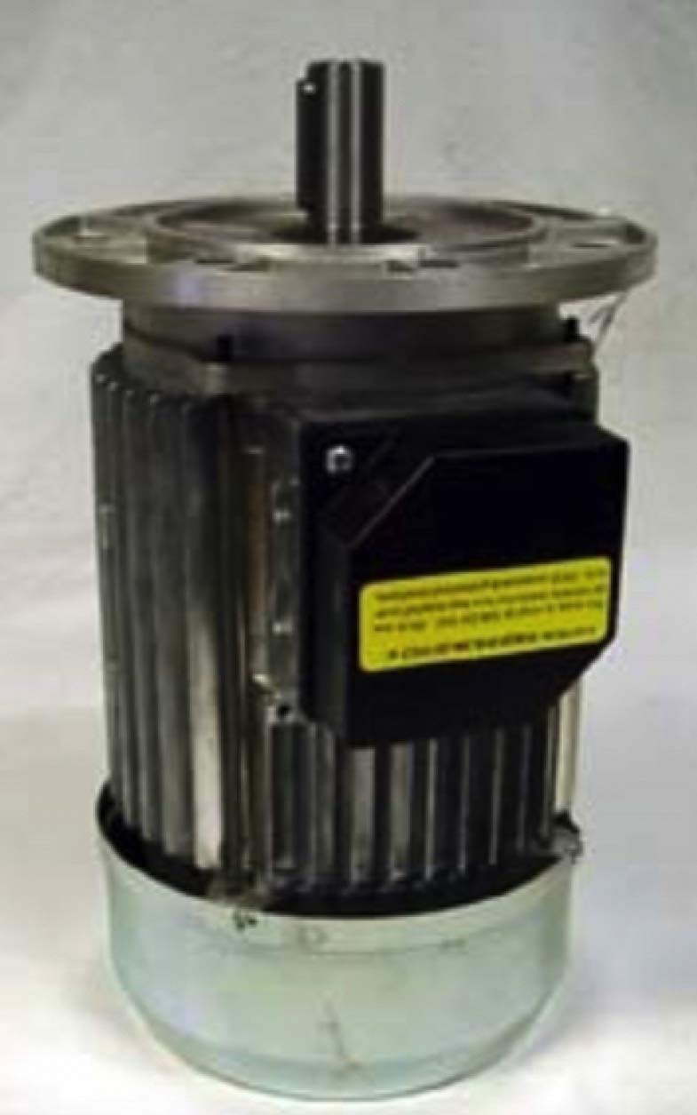 Motor 220V 60hz Spin Disc for Union, Realstar machines 0708005