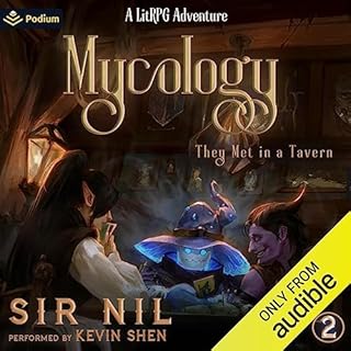 They Met in a Tavern: A LitRPG Adventure Audiolibro Por Sir Nil arte de portada