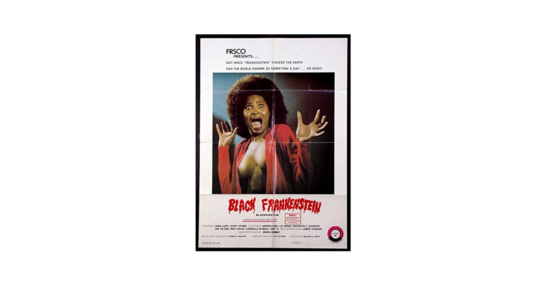 ビンテージ 1973 フランケンシュタイン ブラックライトポスター BLACK FRANKENSTEIN BLACKENSTEIN RARE BLAXPLOITATION HORROR