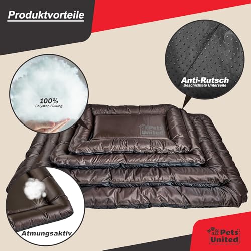 all Pets United® Hundekissen Hundebett Indoor & Outdoor; Hunde-Kissen Hunde-Körbchen; Schlafplatz für Hund & Katzen (L - 100x70 cm)