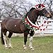 3-in-1 Christmas Horse Costume Accessory-Including 1 Pcs Horse Christmas Santa Hat and 2 Pcs Horse Rein Cover Halter Bridle Cover for Holiday Decor Christmas Party Xmas Parade Supplies