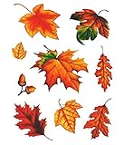 Reine Motivgrößen: je nach Motiv zwischen ca. 4 cm und ca. 11 cm, Foliengrößen: je nach Motiv zwischen ca. 5,5 cm und ca. 12,5 cm, Größe der Trägerkarte: 20 x 29.2 cm, originalverpackt im Beutel.