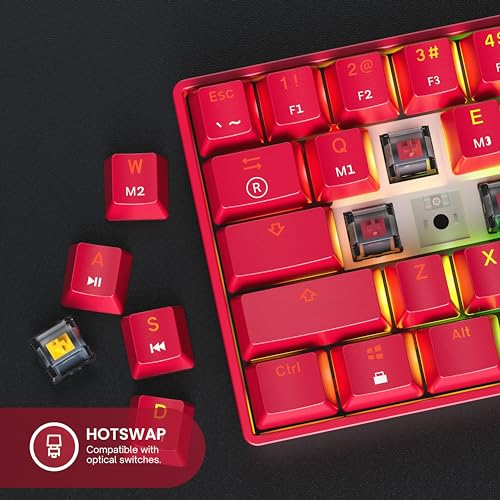 Image of GK61 Hot-Swap Mechanical Gaming Keyboard - 61 Keys Multicoloured RGB LED Backlight for PC /Mac Players (Gateron Optical Red, Red)