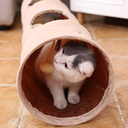 pawz road cat tunnel
