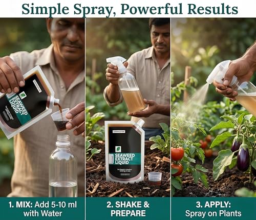 Image of B Natural Organic Seaweed Extract Liquid For Spray On Plants & Garden (1, Seaweed 200ml)