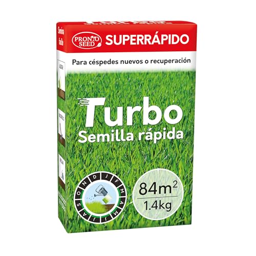 Pronto Seed Semillas de Césped 1.4KG - para Resembrado, Cobertura 84m², Crecimiento Rápido y Resistente, Duraderas, Adaptadas al Clima del Reino Unido, Aprobadas por DEFRA
