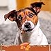 SmartBones Kauknochen Mini - Kausnack mit Süßkartoffel für kleine Hunde, Knochen mit weicher Textur, ohne Rohhaut, 8 Stück