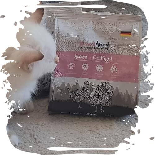 Venandi Animal – Premium Katzenfutter – Kitten – Geflügel, mit viel frischem Fleisch, Trockenfutter, getreidefrei 2er Pack (1 x 300g) – Ansicht 3