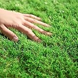 モダンデコ 人工芝 ロール 1m×20m 芝丈35mm U字ピン 46本付き 高耐久 マット シート 芝生 リアル 庭 ベランダ 屋上 バルコニー テラス (高耐久タイプ, ラッシュグリーン)