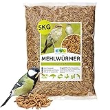 🦎PROTEIN SNACK: Durch den hohen Eiweißanteil sind unsere Mehlwürmer getrocknet das ganze Jahr über ein optimaler Energielieferant für alle Reptilien, Nager und Fische.