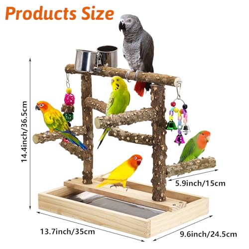 Image of BNOSDM Natural Wood Bird Playground for Training & Playing, Parrot Perch Stand Jungle Gym with Detachable Tray & Stainless Feeder Cups Parakeet Cage Playstand for Budgie, Cockatiel, African Grey