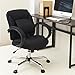 Nakabayashi CCF-601-BK Support Cushion Executive Chair, Black
