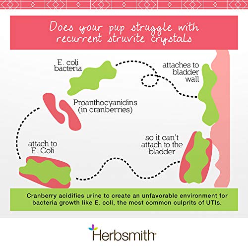 Herbsmith Bladder Care For Cats And Dogs – Maintains Urinary Health For Dogs And Cats – Dog And Cat Kidney Support – 90 Tablets #TOP2