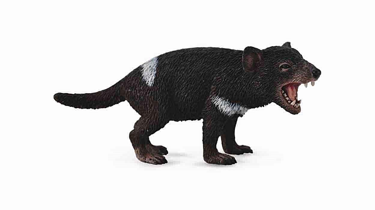 Amazon | CollectA (コレクタ) タスマニアデビル 動物