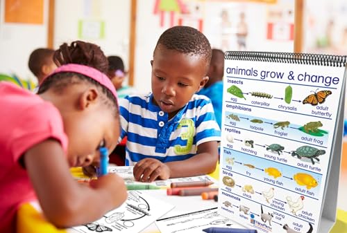 Image of NewPath Genetics: Study of Heredity Flip Chart and Online Multimedia Lesson, Grades 6 to 10