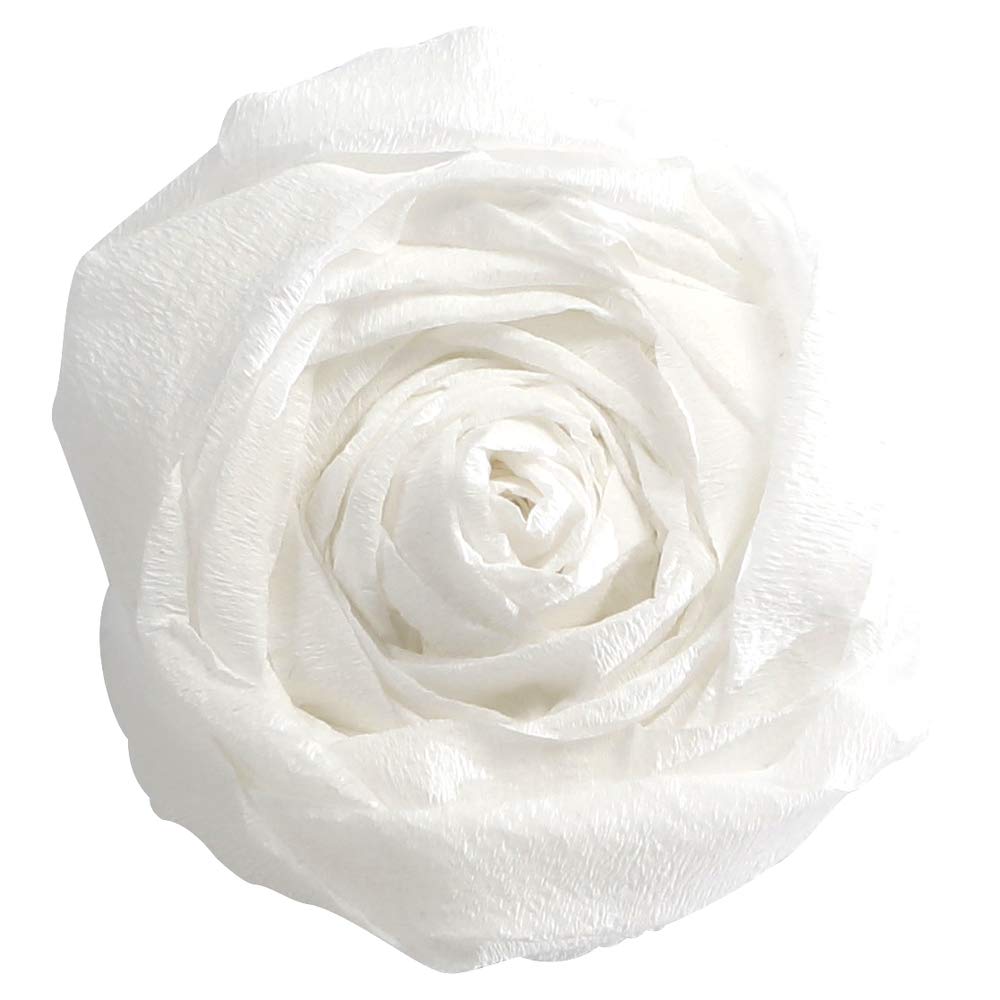 Leak Lock (16oz brush-top plastic jar)